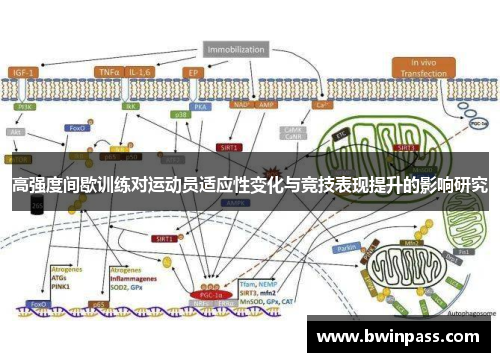高强度间歇训练对运动员适应性变化与竞技表现提升的影响研究